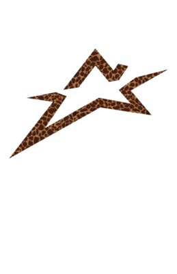 NorthStar Apparel womens logo tee2